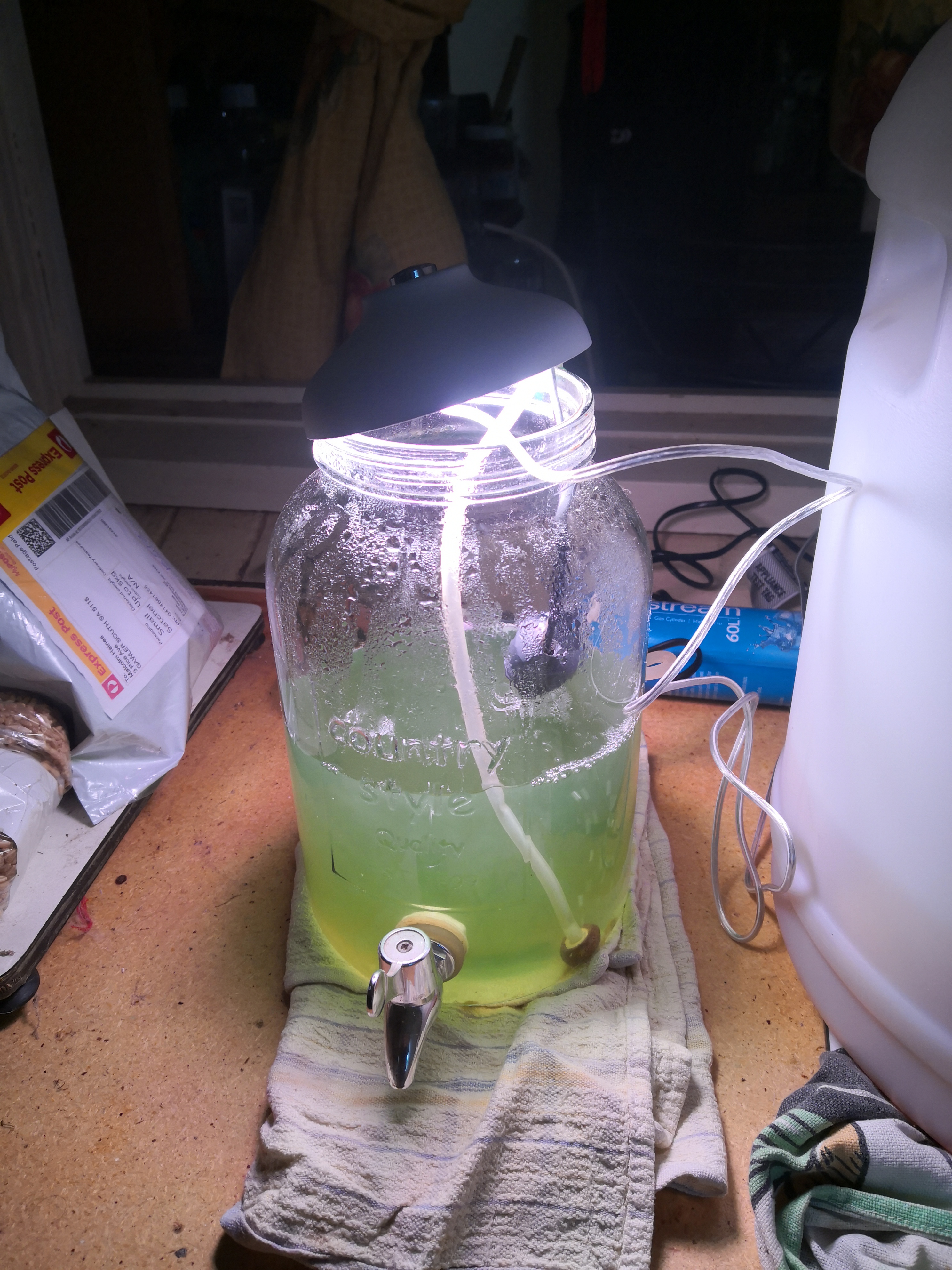 Spirulina: update