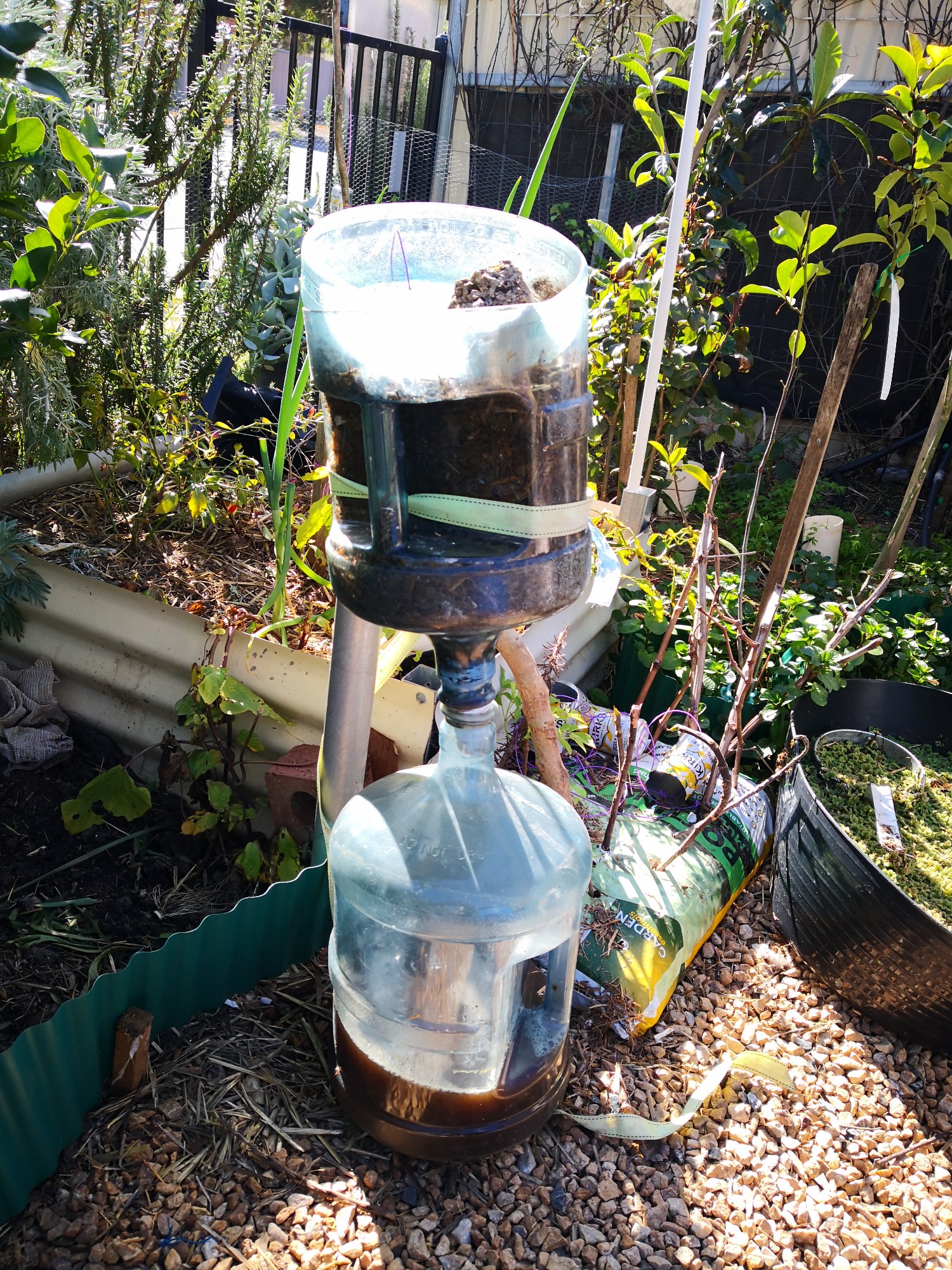 Chook Poo percolator