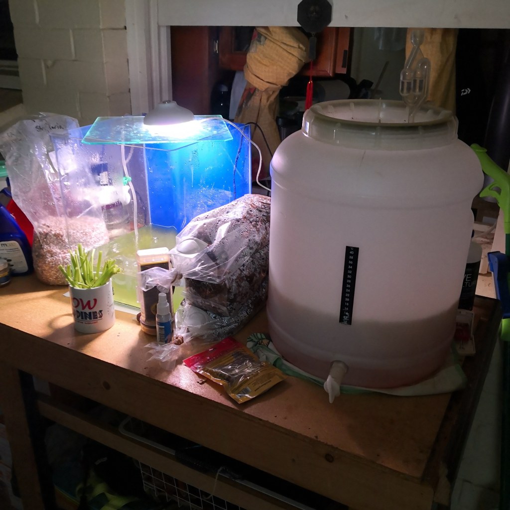 Multi tasking to the&nbsp;max