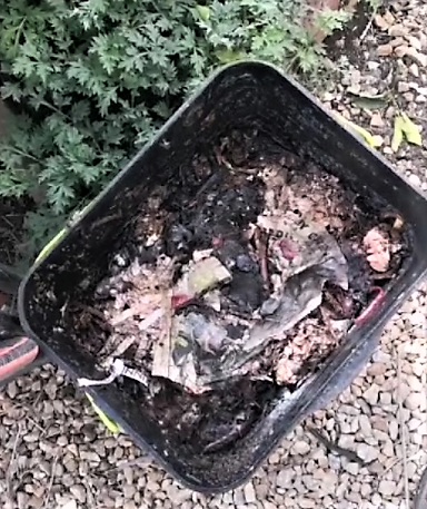 A forgotten bin