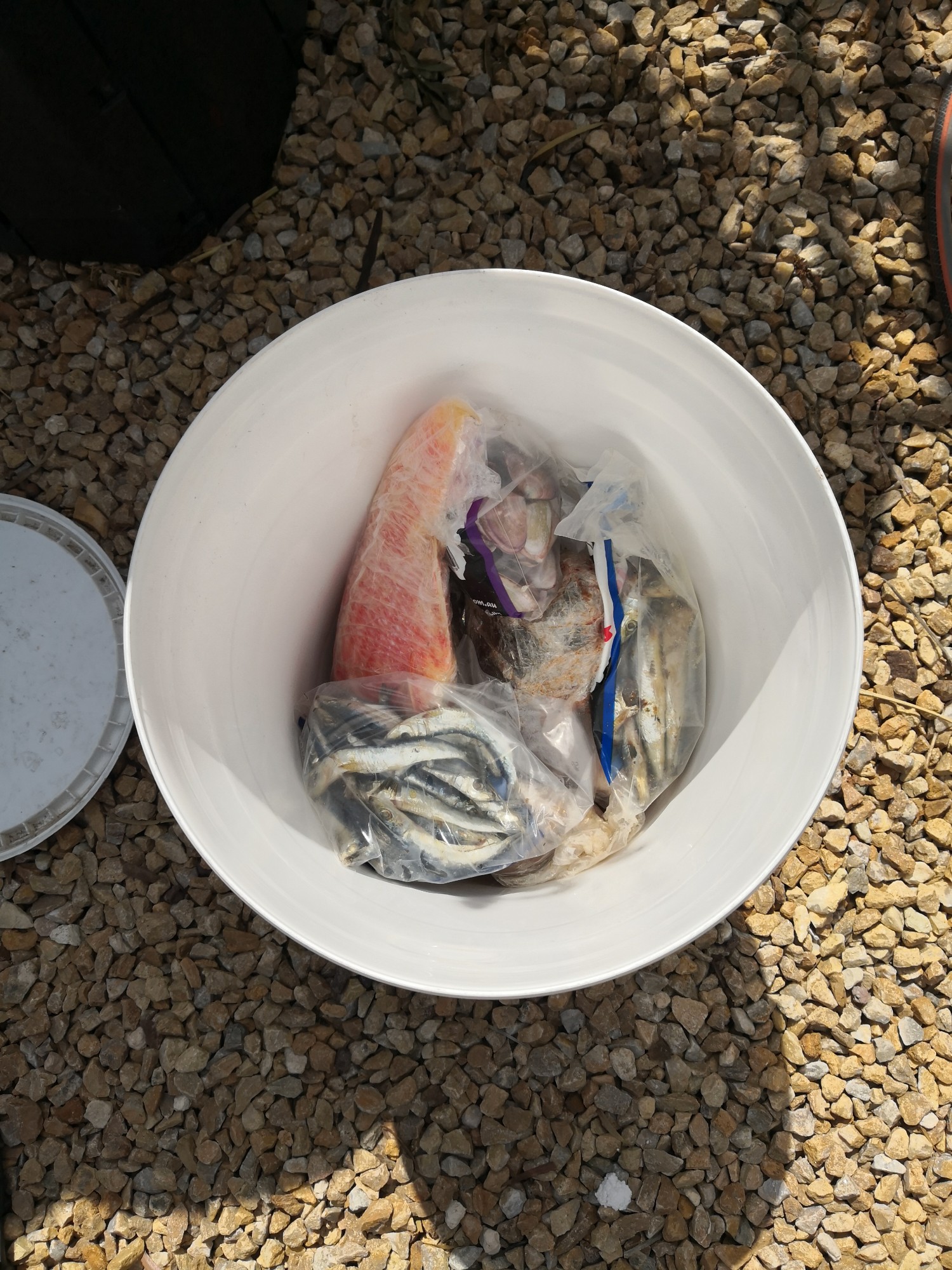 and a bucket with a tight fitting lid.