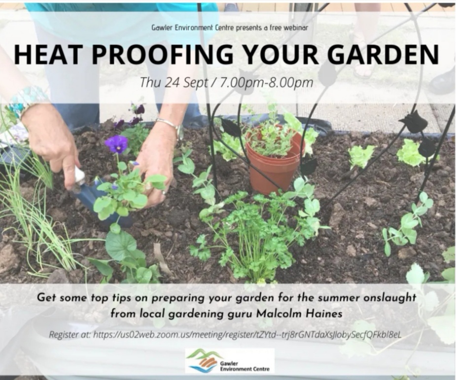 Heatproofing your garden