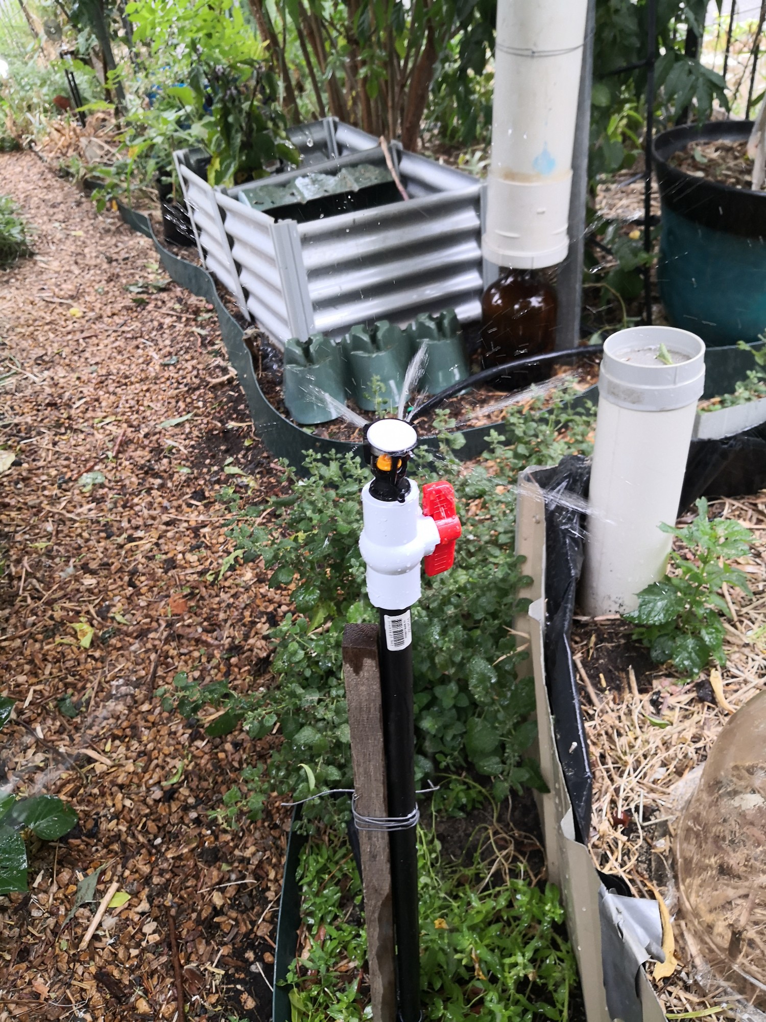 Low pressure sprinklers for the drippers