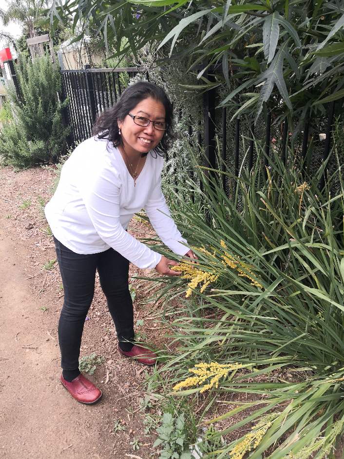 Verge gardening
