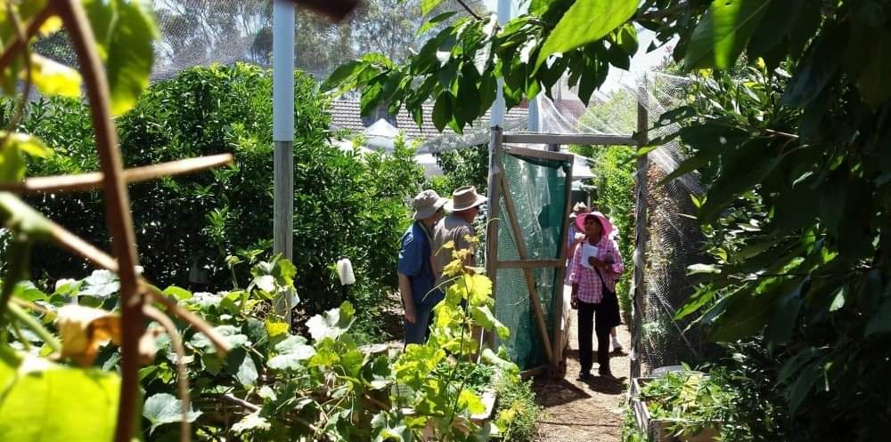 Joe’s Connected Garden 2021 Open&nbsp;Day