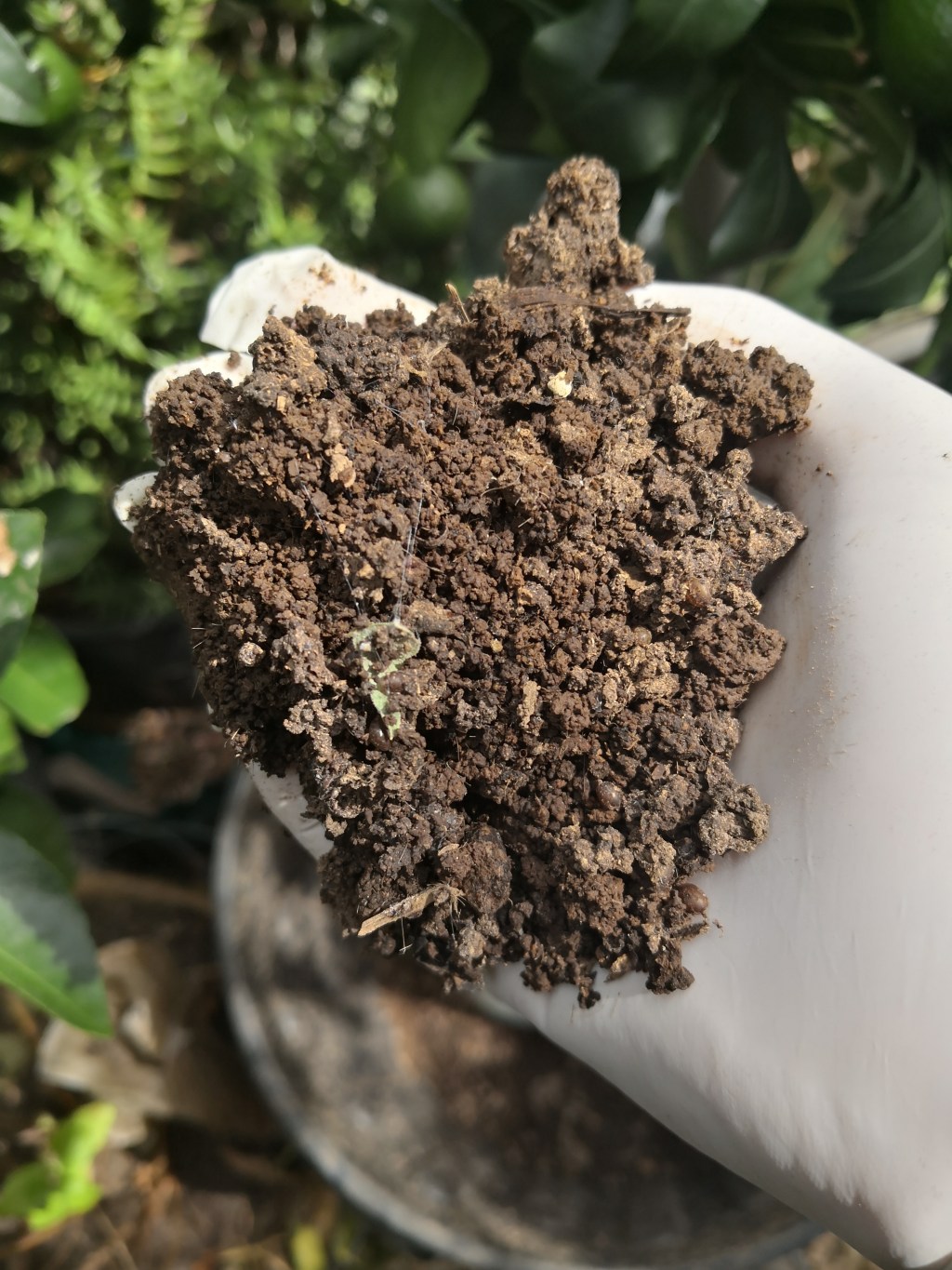 One more experiment&nbsp;finished