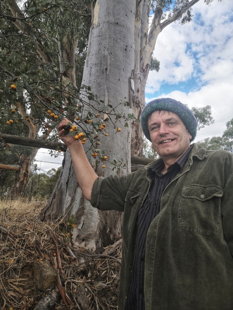 Yours truly at the Mexican Hawthorn tree. 