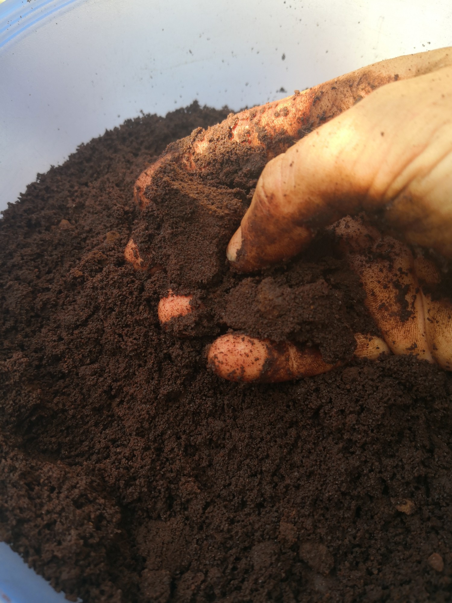 Coffee grounds are gold!