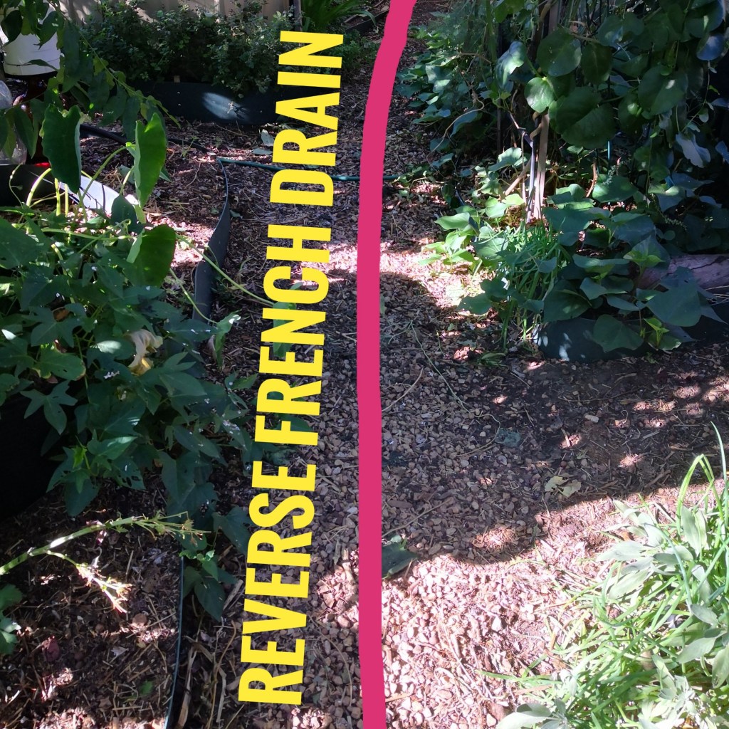 A reverse French drain