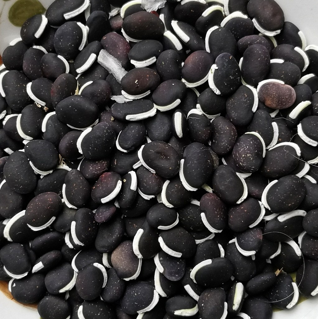 The seeds are pretty distinctive.