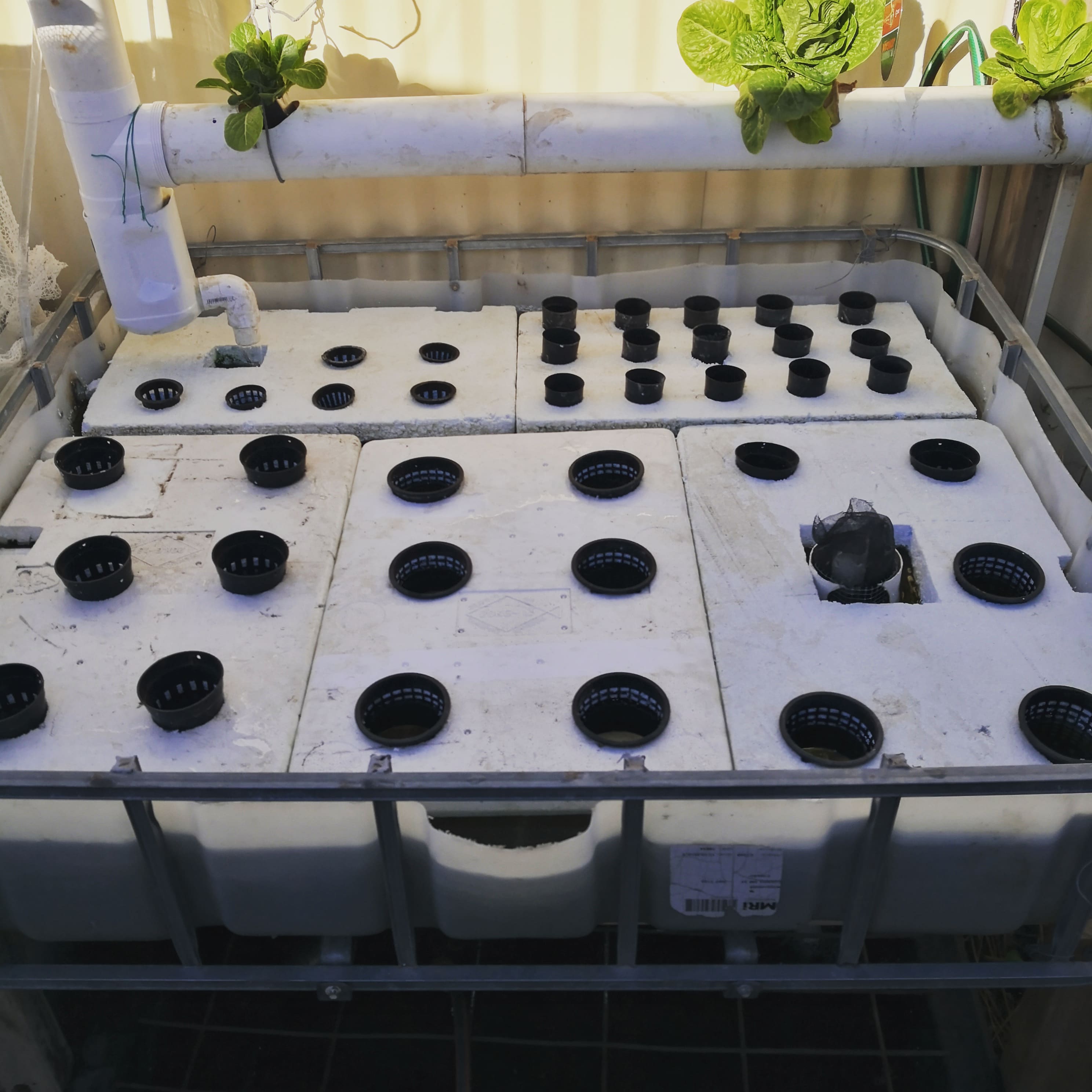 New beds (for the aquaponics that is)