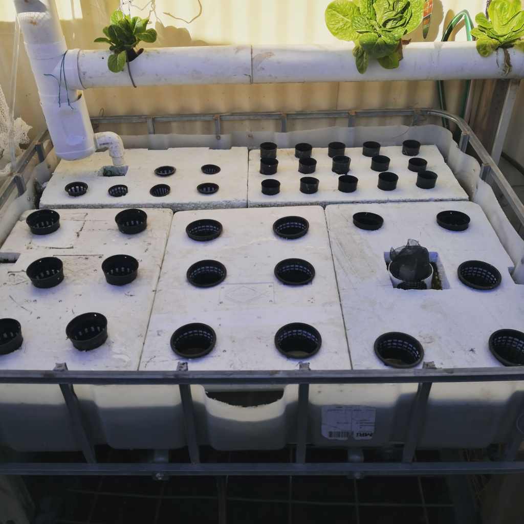 New beds (for the aquaponics that&nbsp;is)