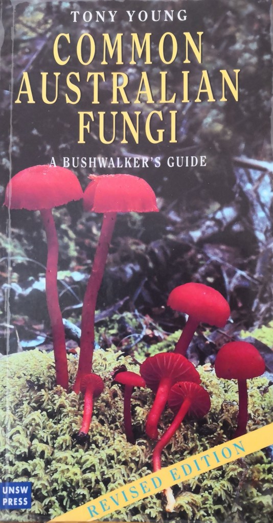 'Common Australian Fungi A bushwalker's guide' by Tony Young