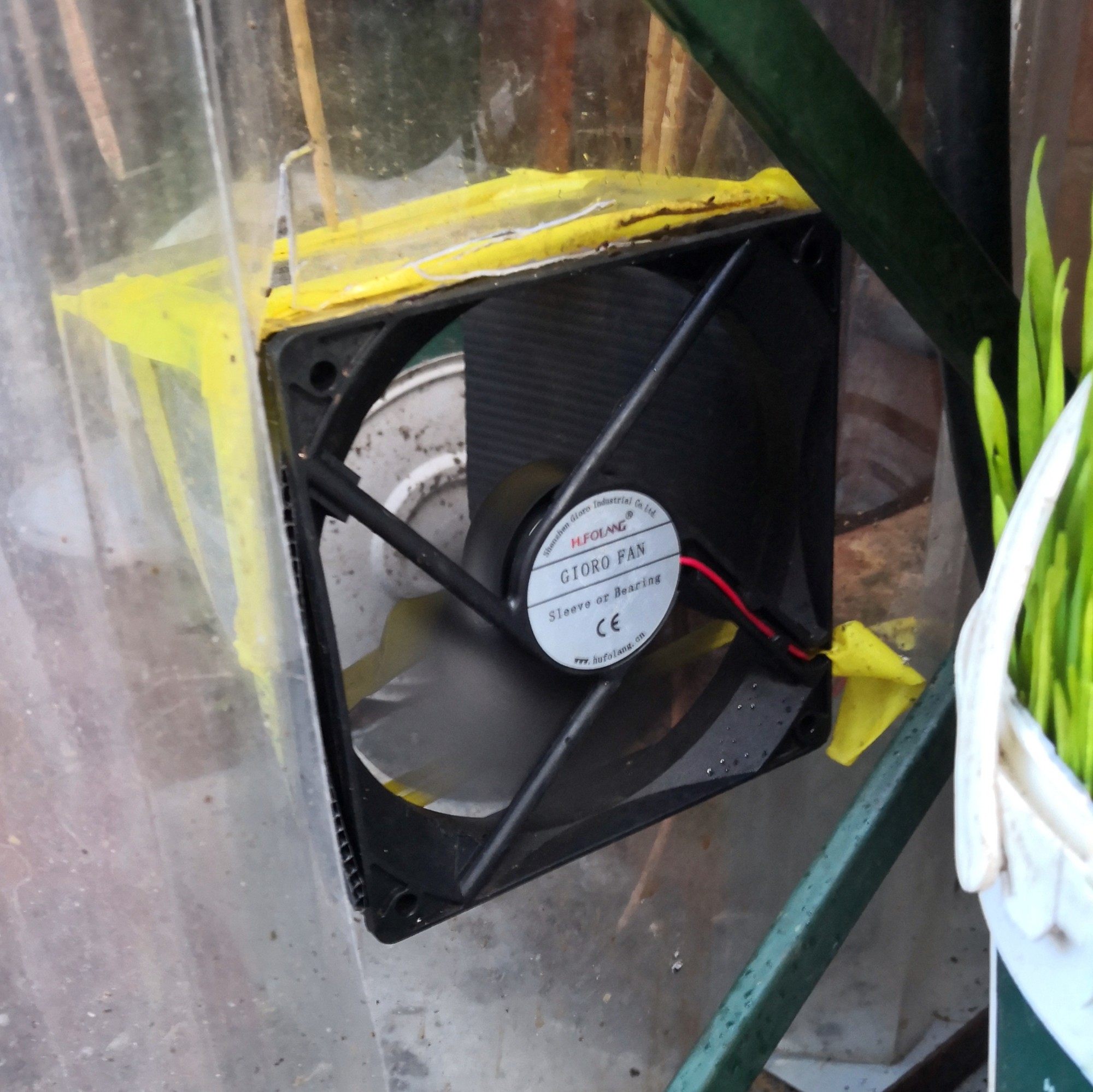 A fan was the solution to our mold problem.