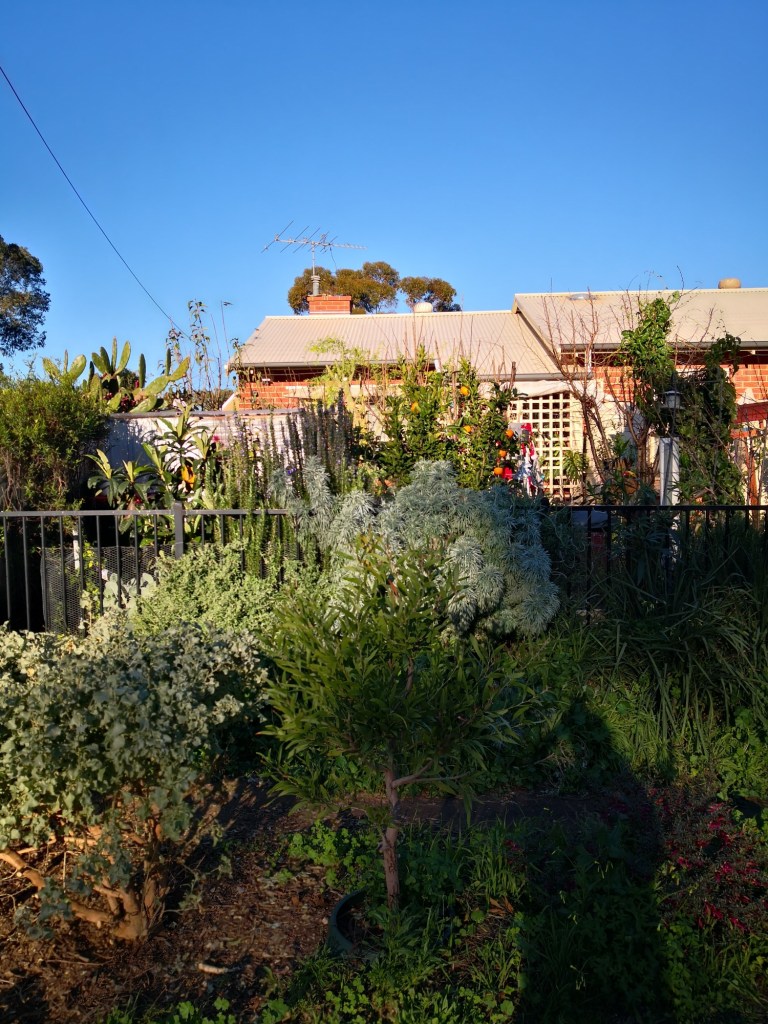 There's a house in there! 