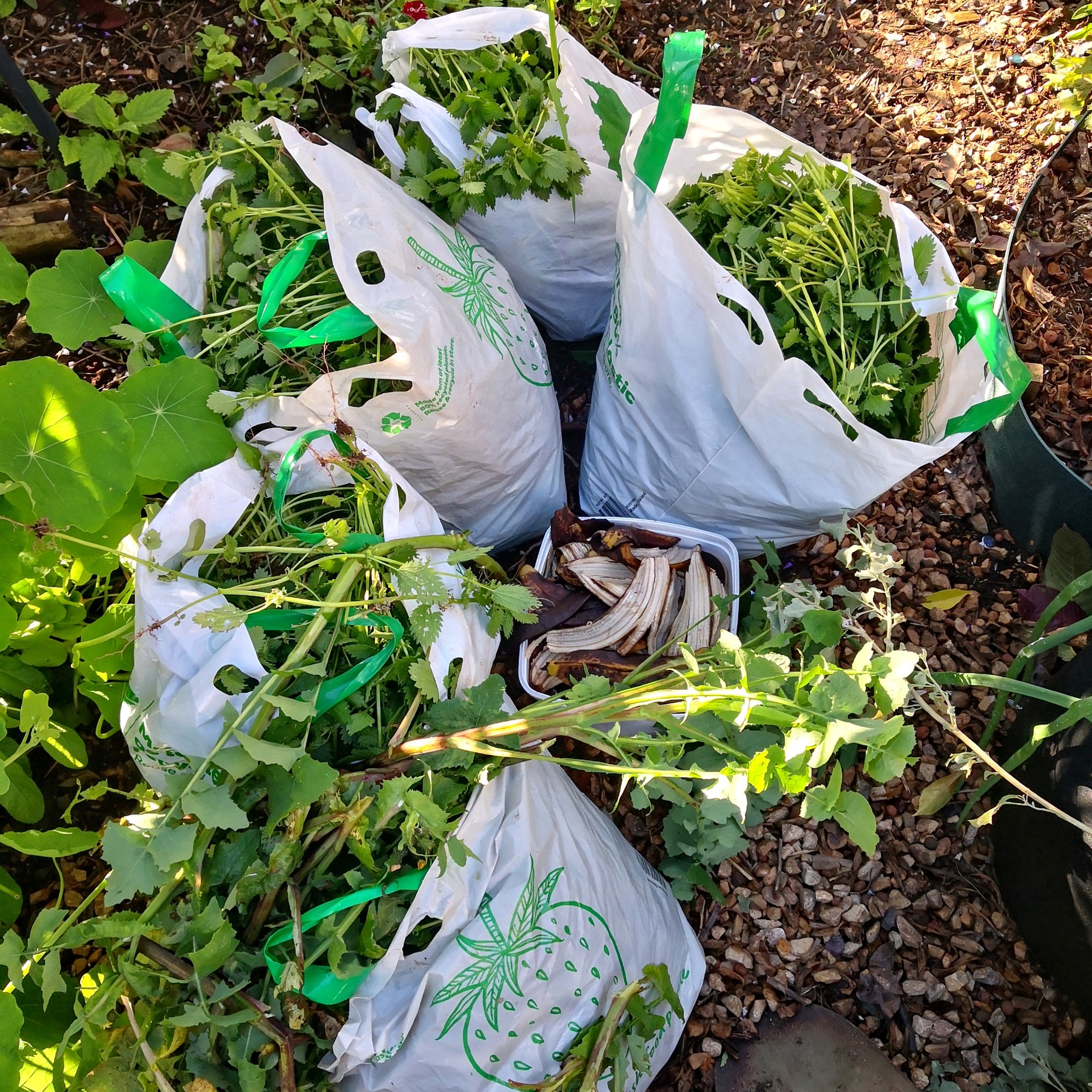 Bringing home the goodness