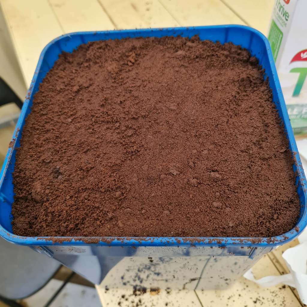 I've got coffee ban down pat.