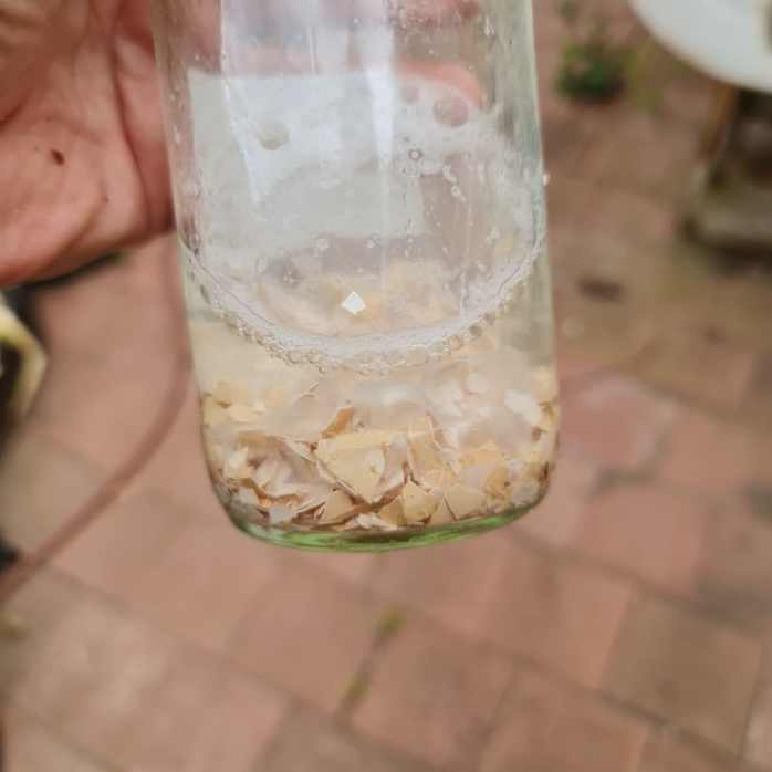 Vinegar doing its job.