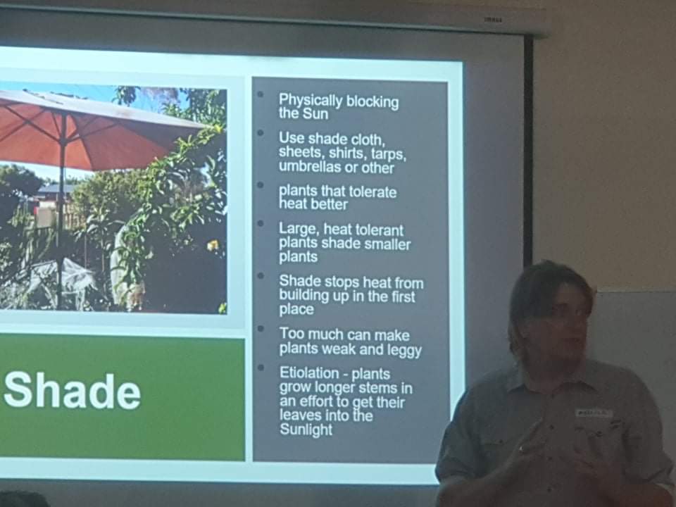 Abundance in your Summer Garden talk