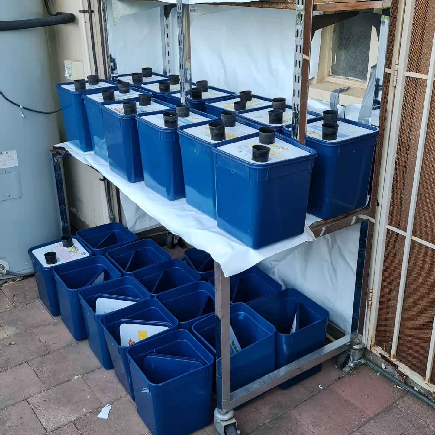 A community hydro setup at Ligaya Garden