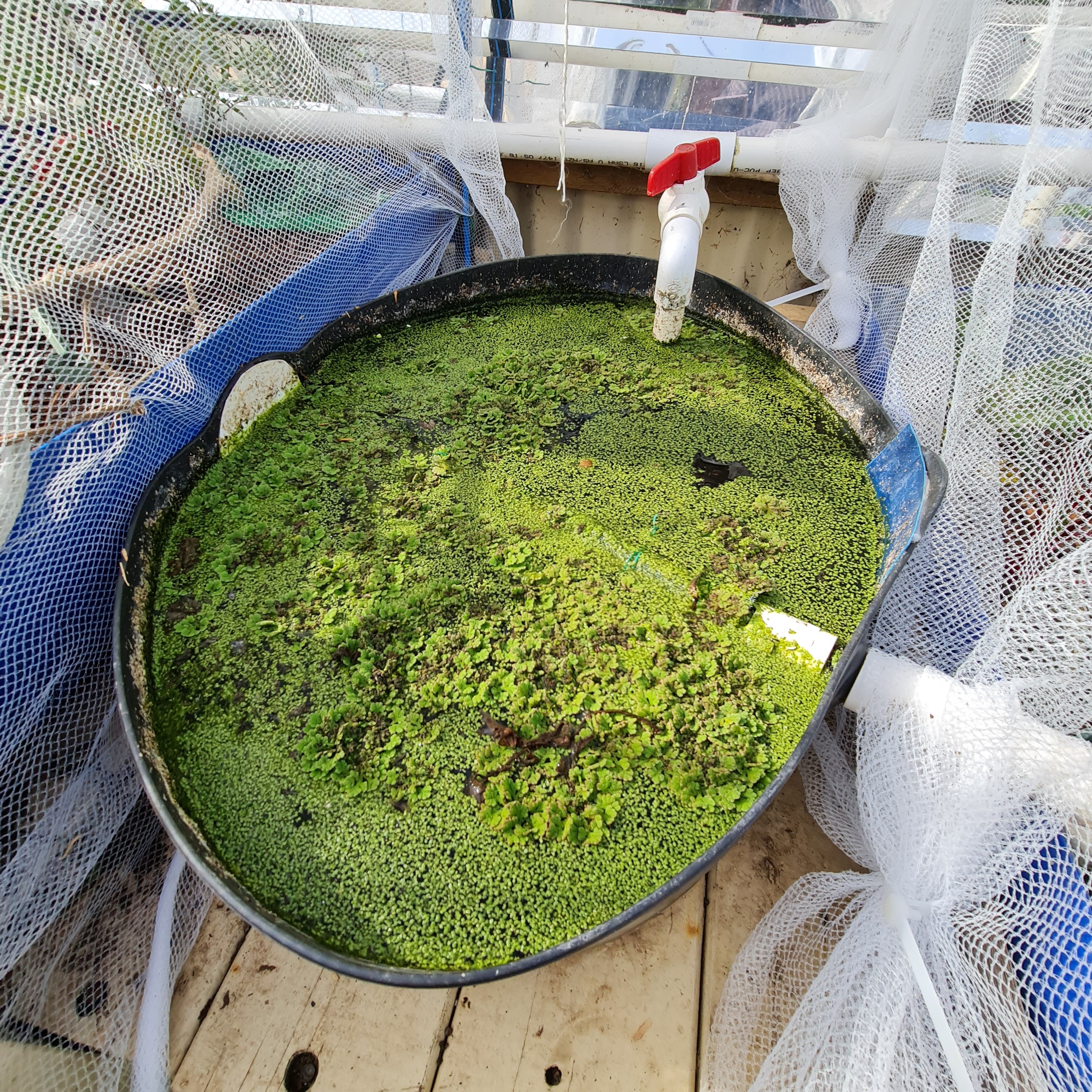 As it is now, well into Winter but past the Solstice.