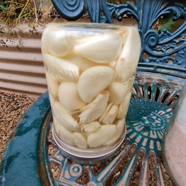 Turn the jar upside down to help clear air bubbles.

