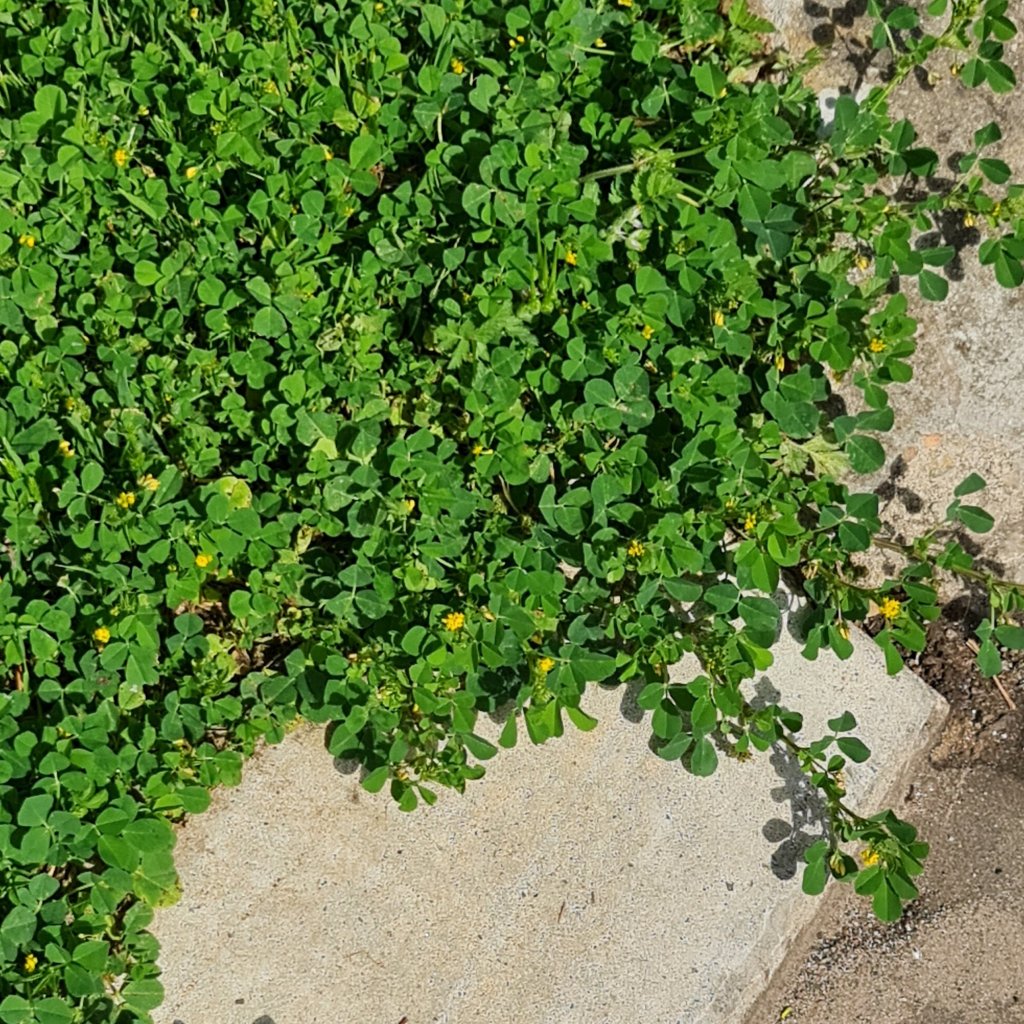 Even the worst have a&nbsp;purpose