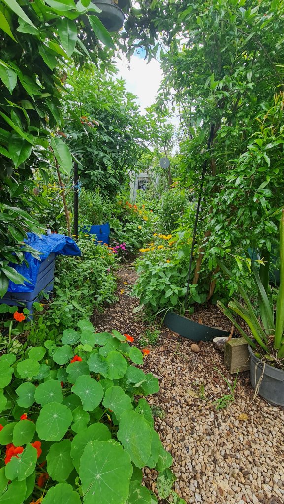 Engineered to perfection!