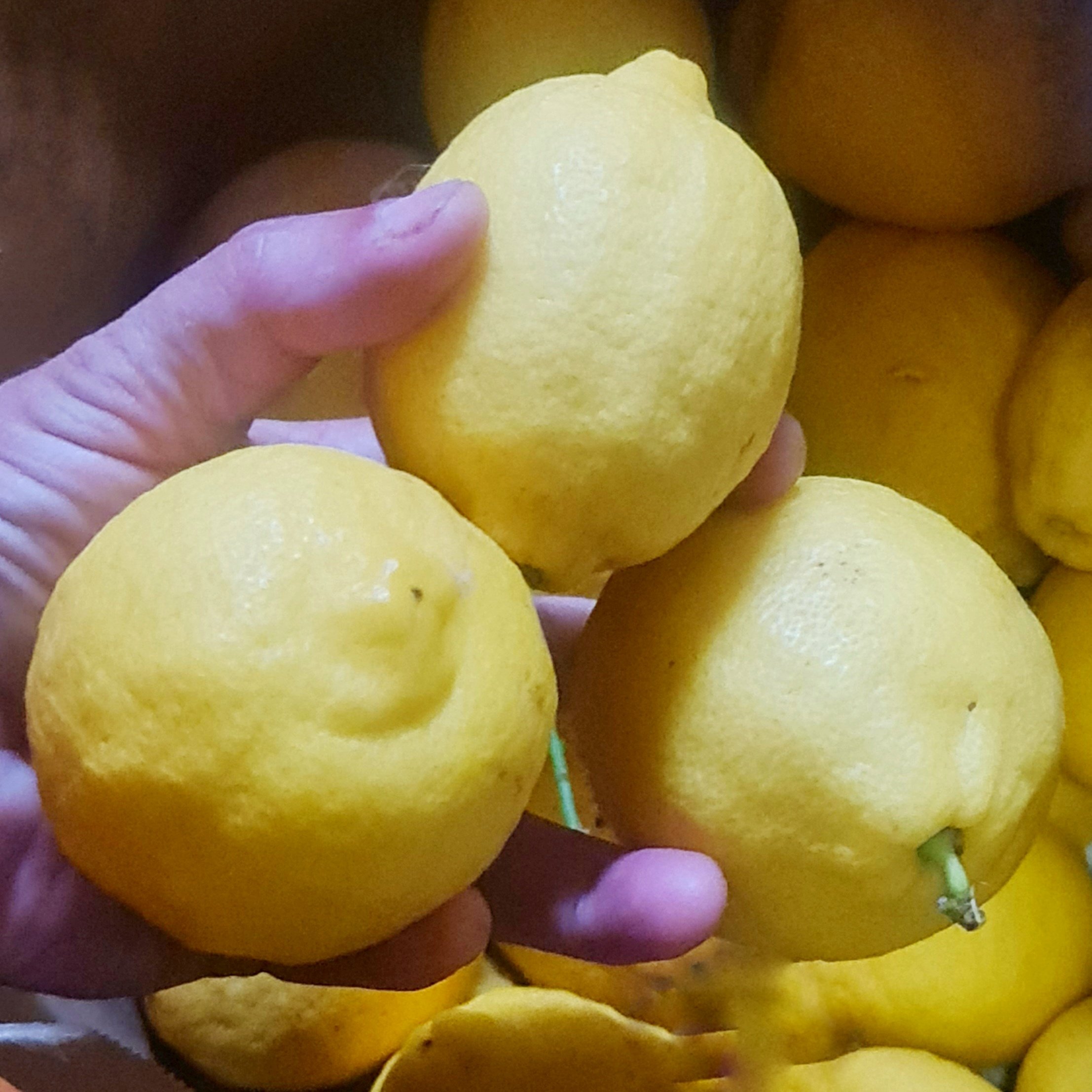 Why I’ve moved to a locally sourced, (mostly) plant based diet