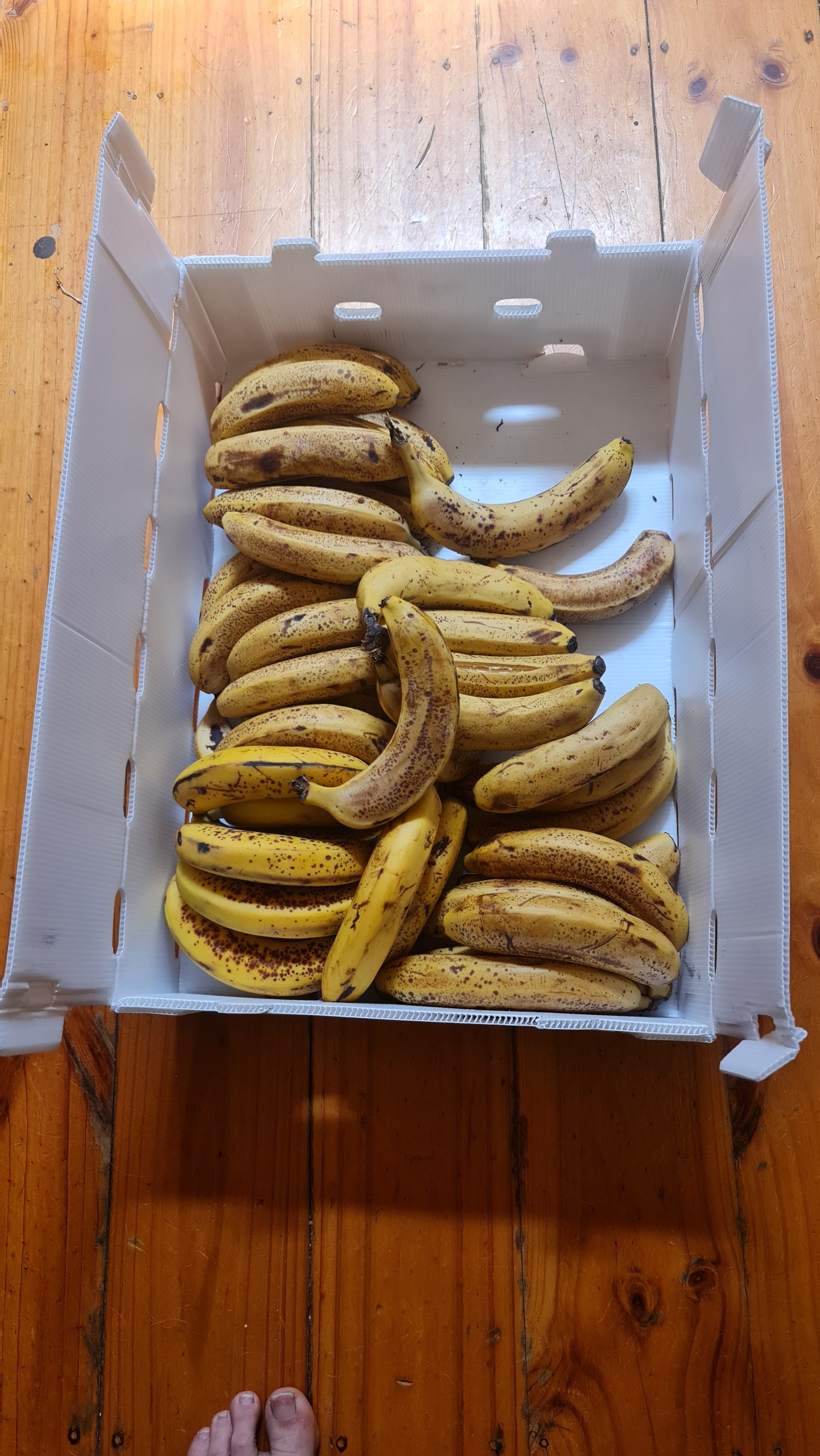 We scored 10 kilos of very cheap bananas - that's a lot of skins!