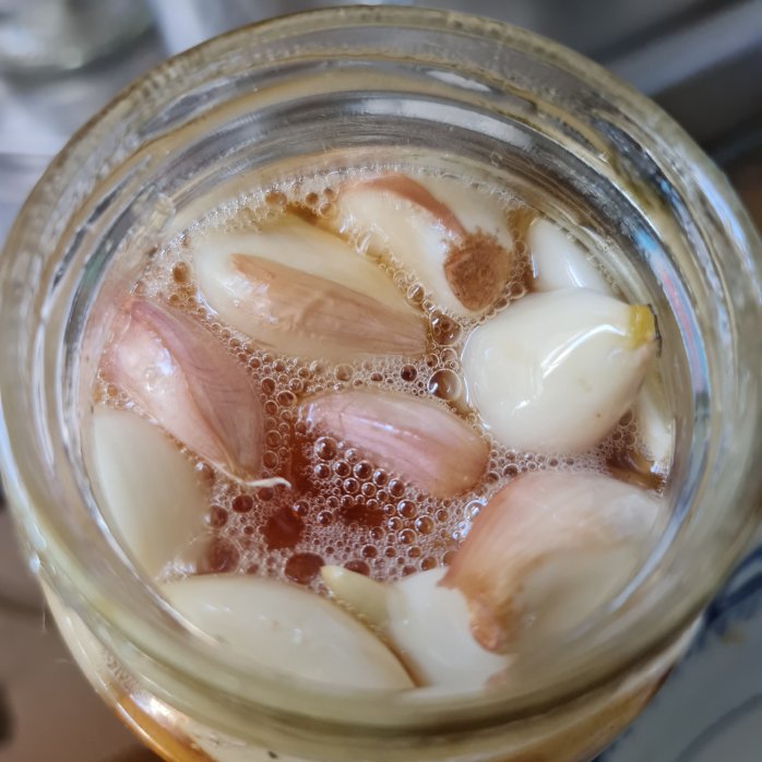 Bubbles start to form in a day!