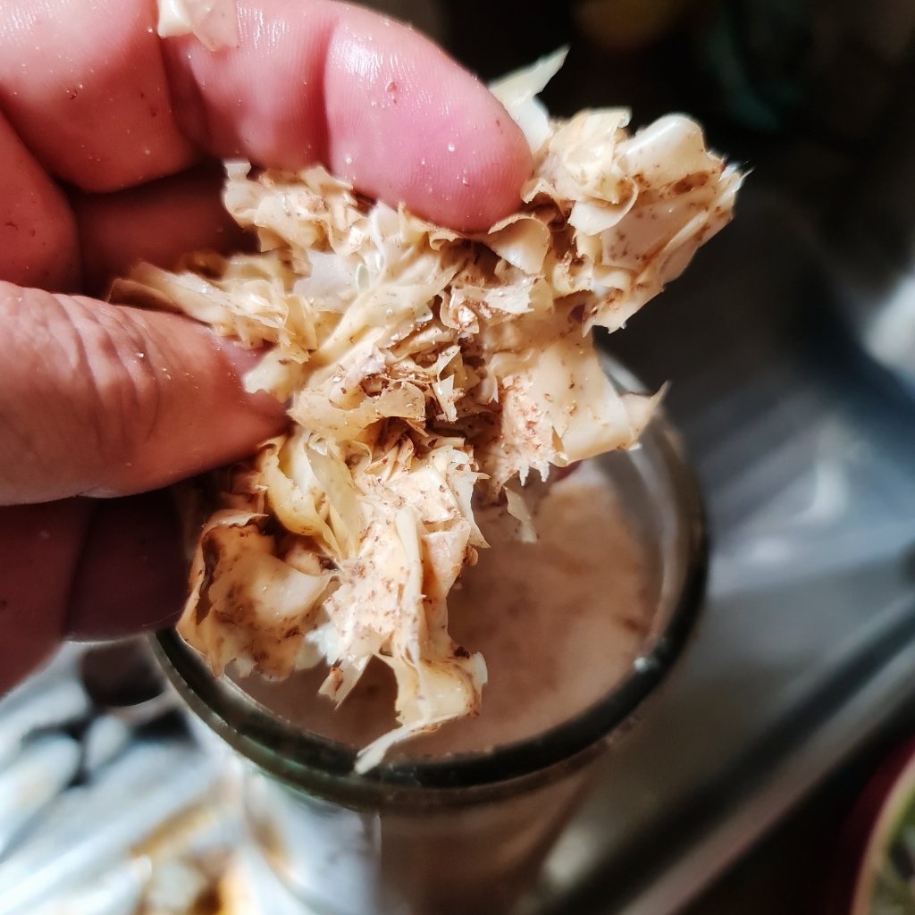 Eggshells will turn to rubber over time when left in vinegar.