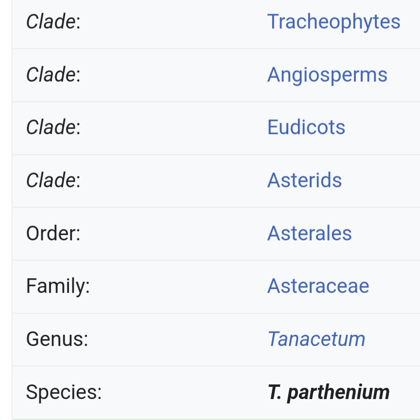 A bit of Latin to help you&nbsp;grow