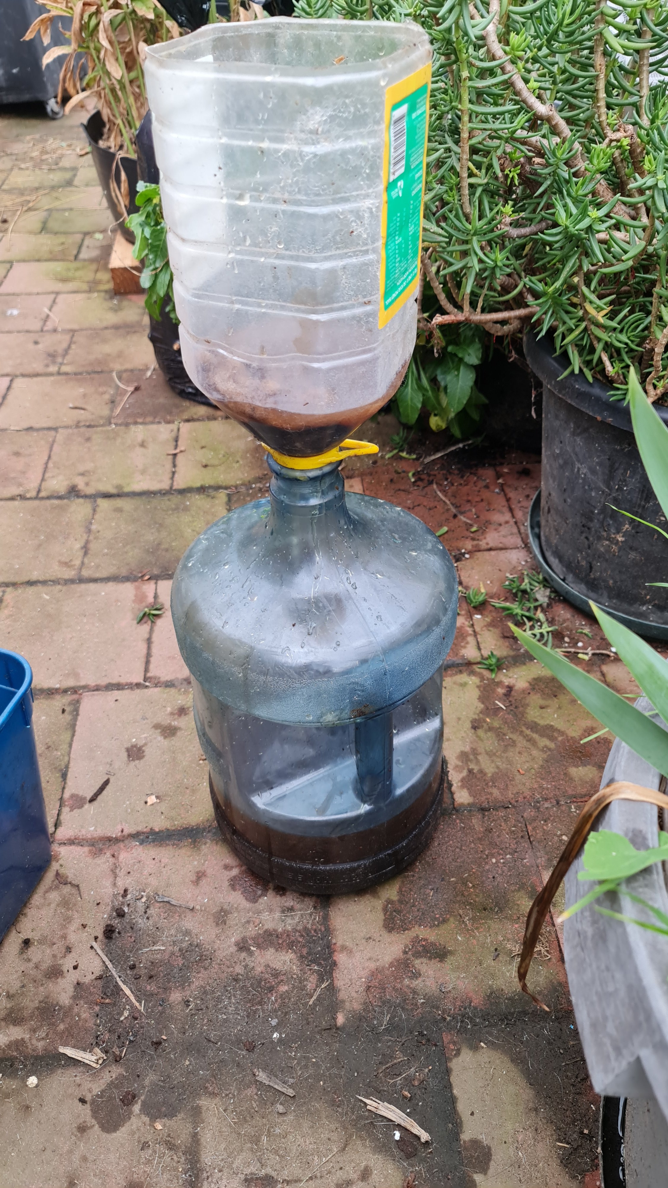 I filter the brew to use in my aquaponics and dripper systems.