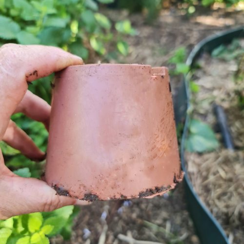 A simple pot, trimmed down, does the trick.