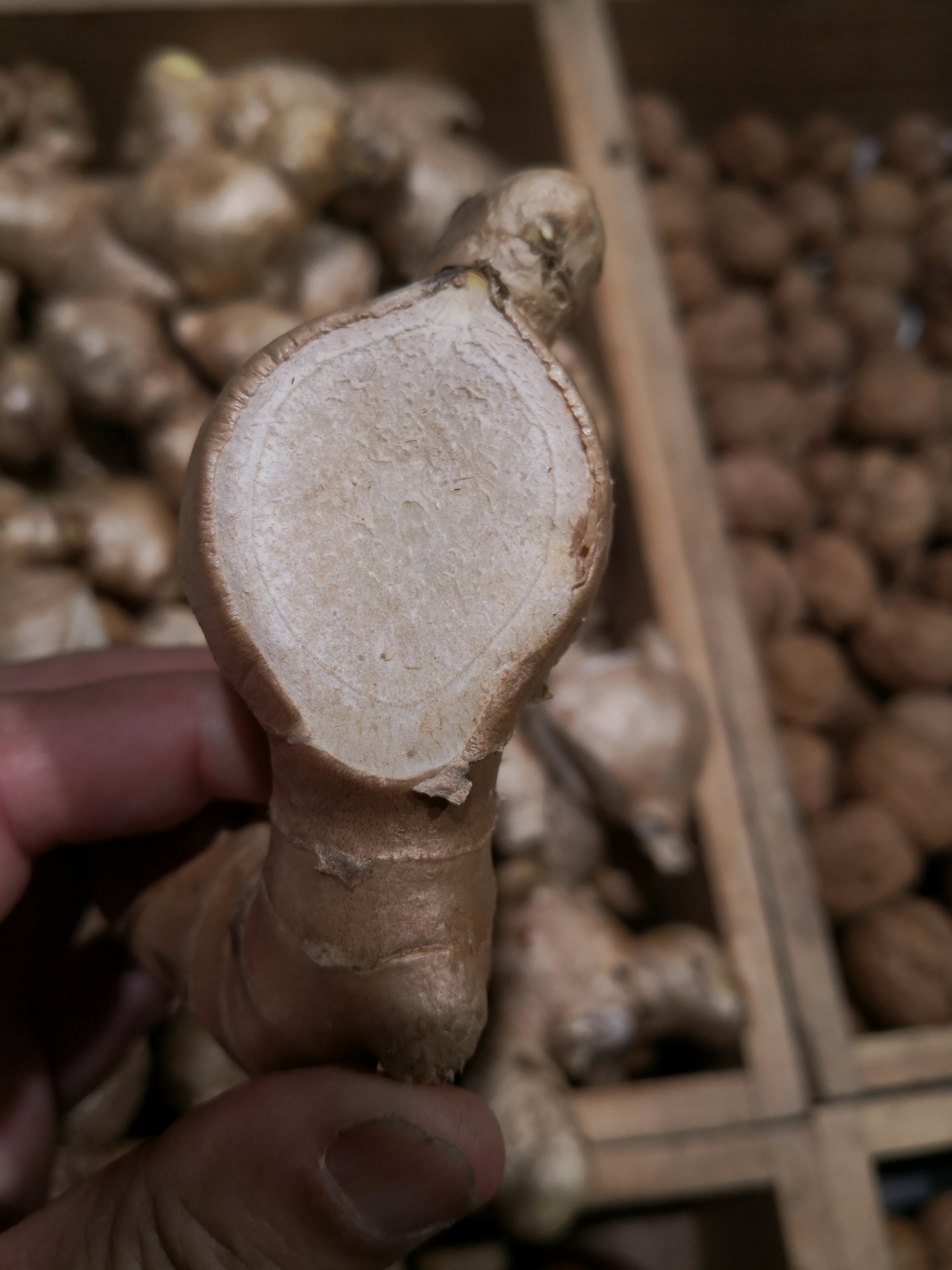 Let the wound dry thoroughly.