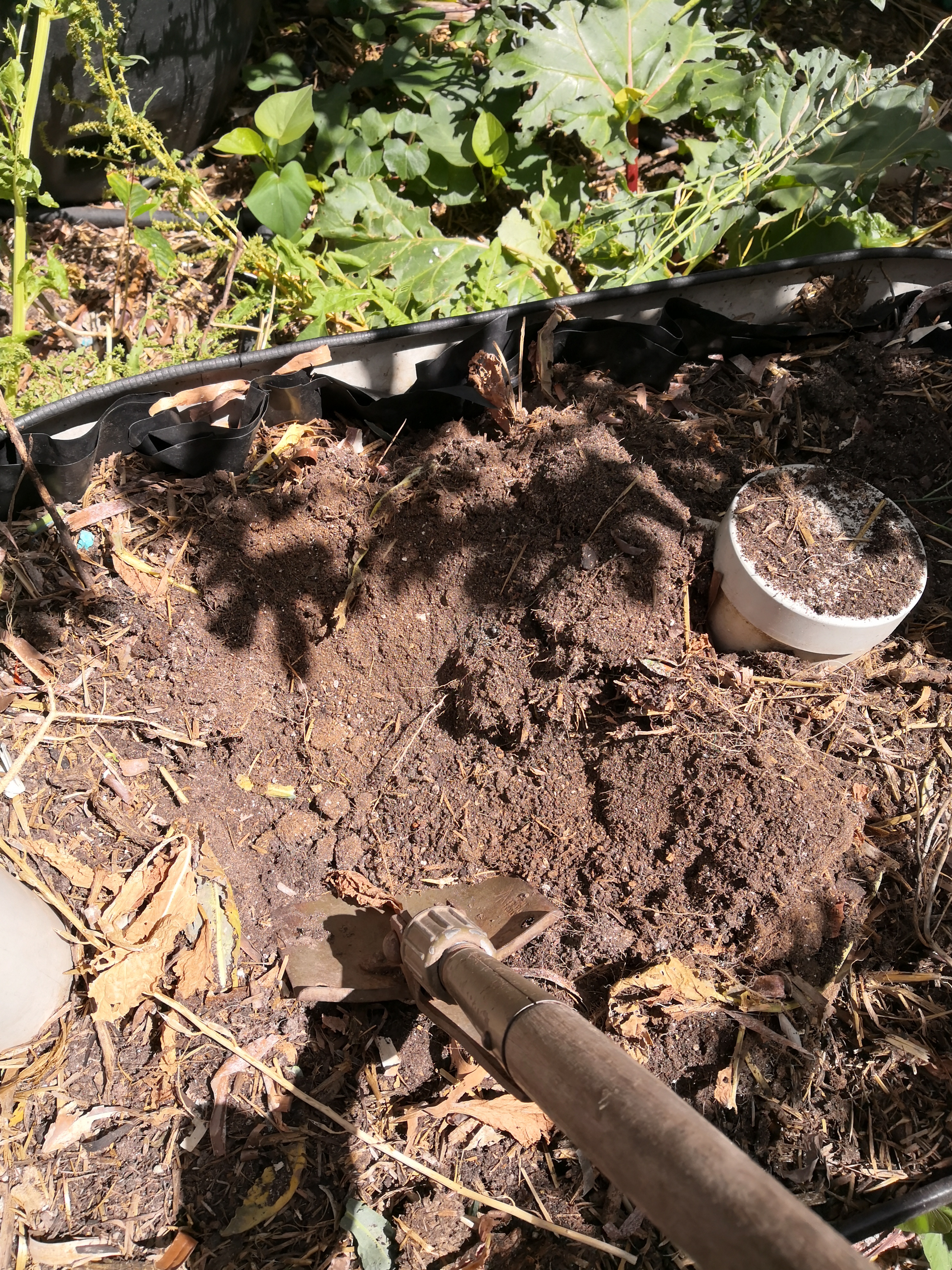 Add about 5% extra sand to your soil.