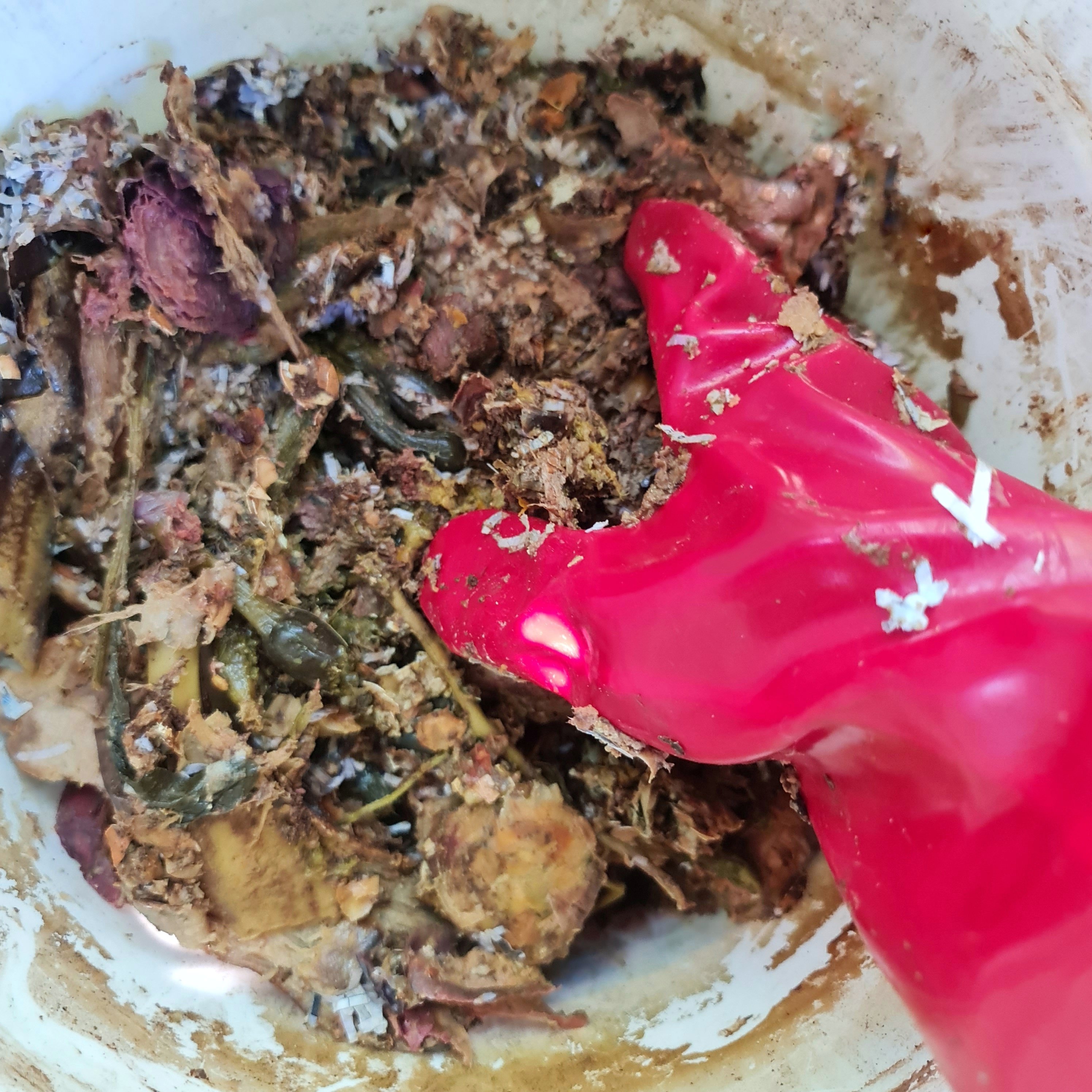 1/4 Bokashi pre-compost.