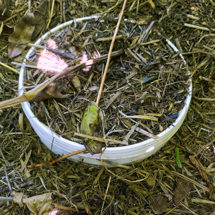 Cover and forget for a while.