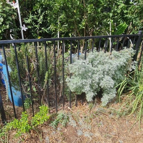 Just a bit off the top!