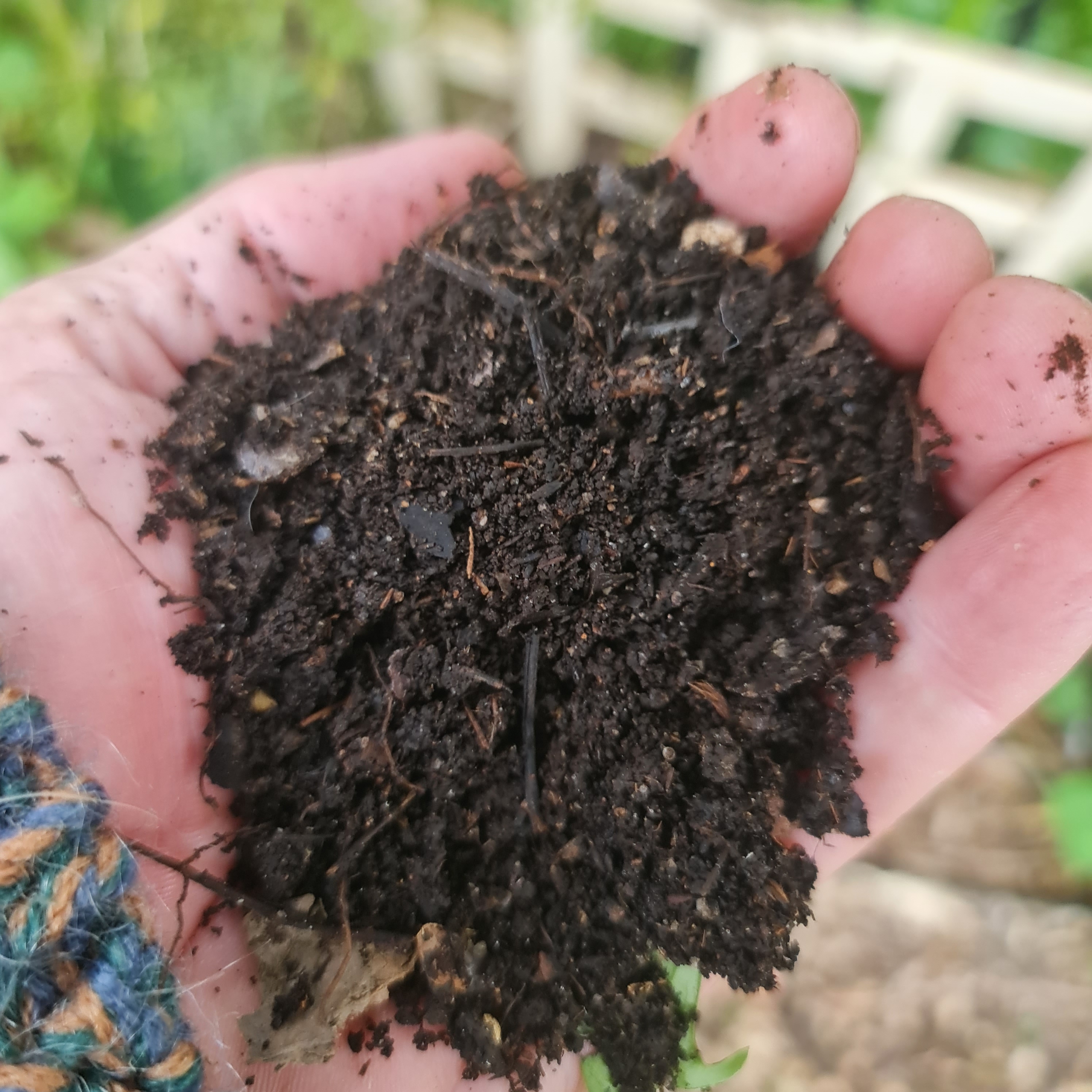 Leaf mould time! Has it been a year already?