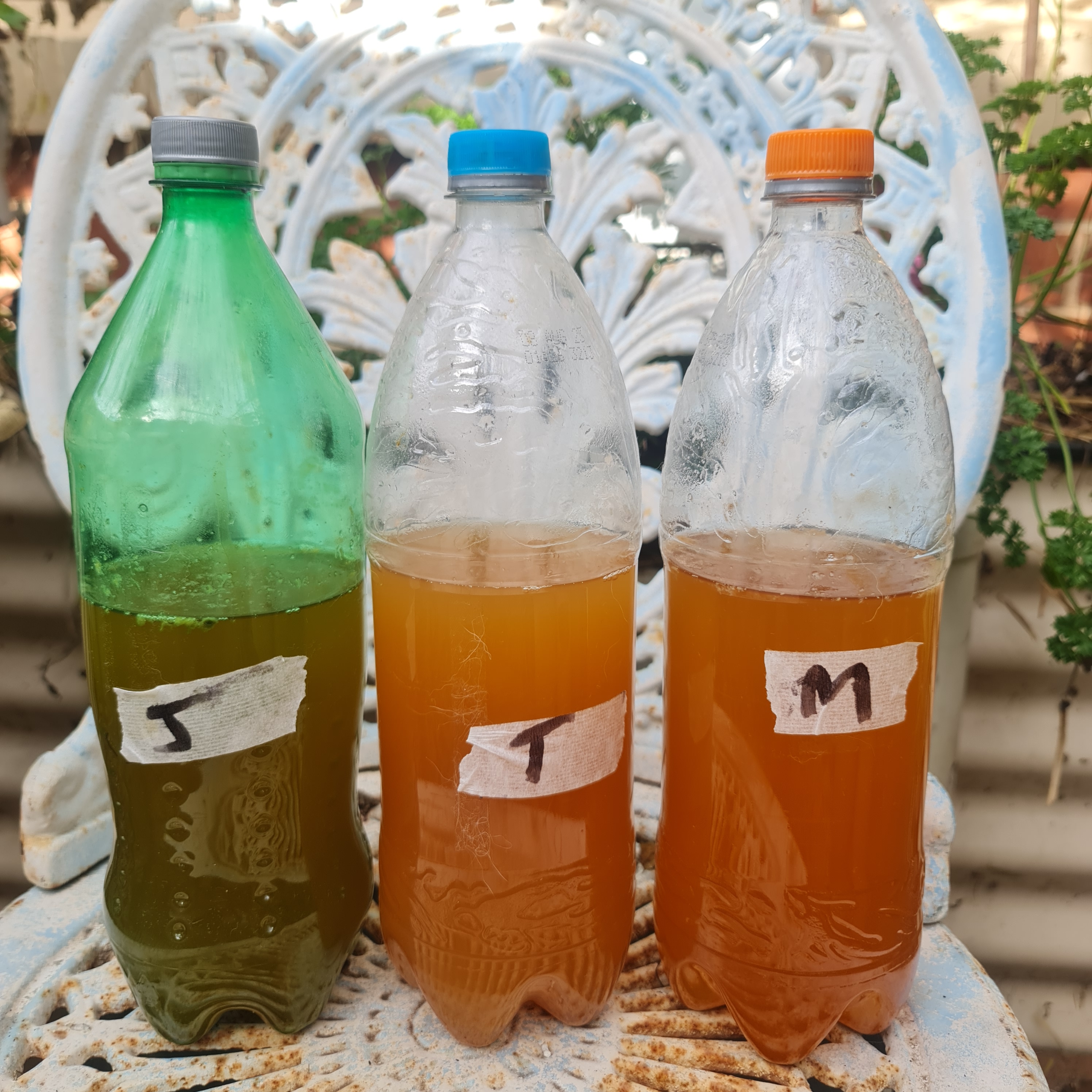 The big Bokashi test.