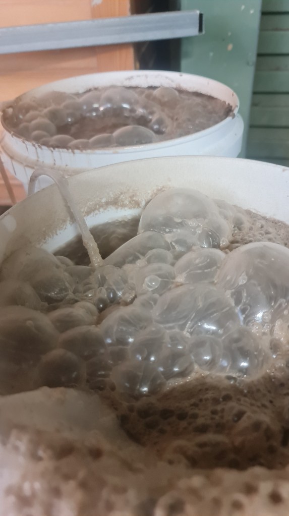 Thick, long lasting bubbles are a sign that there's too much nutrition in the brew.