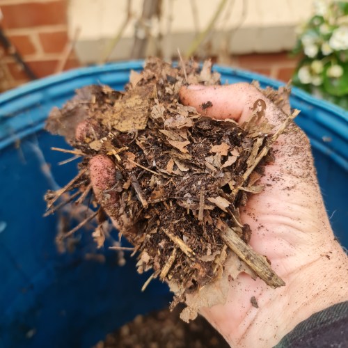 A few inches down. Starting to see some action.