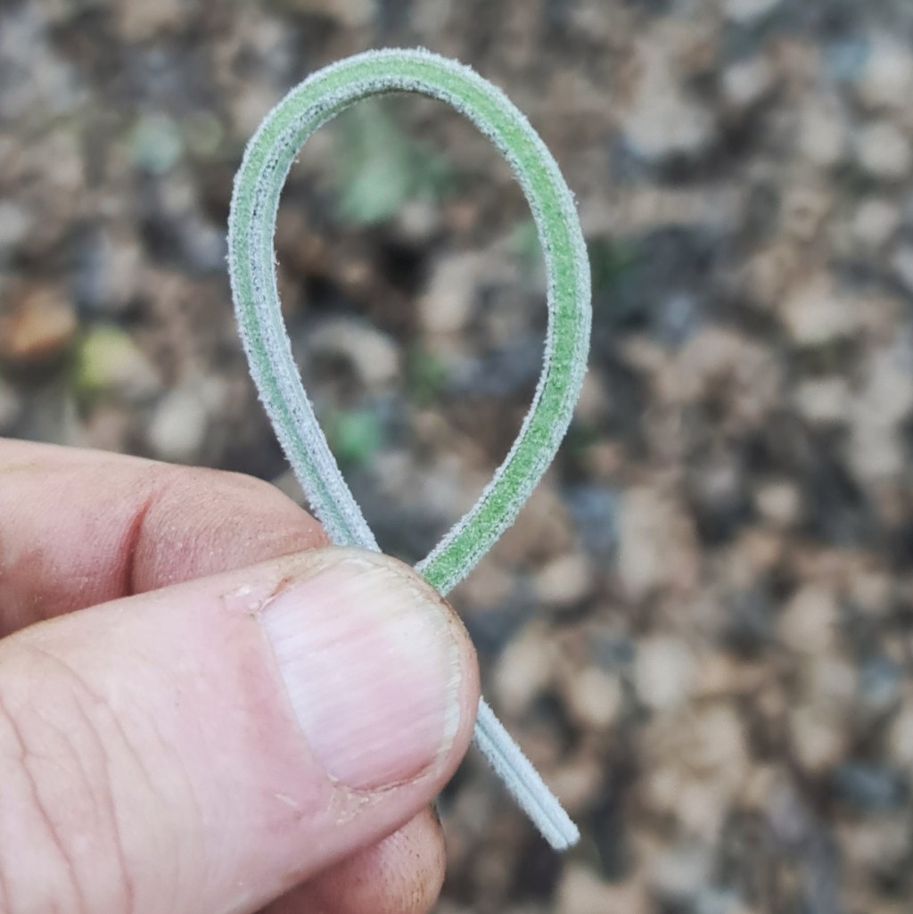 A pleasantly pliable length of stem.