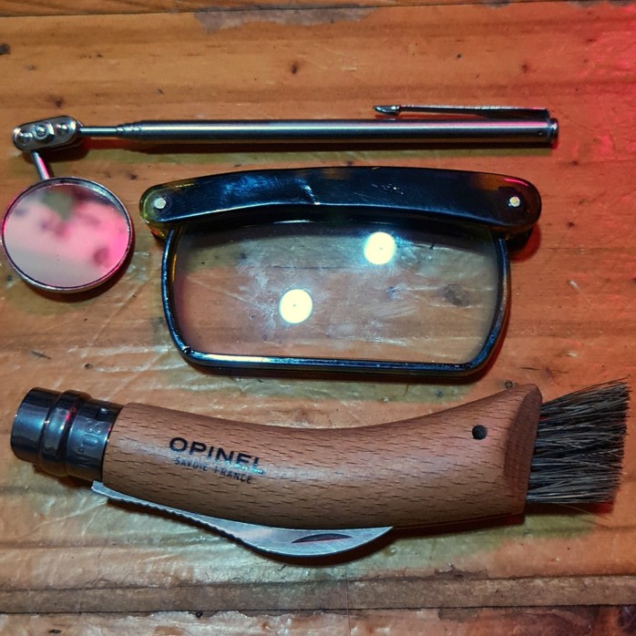 My essential mushrooming kit - telescoping mirror, hand lens, folding knife, brush.