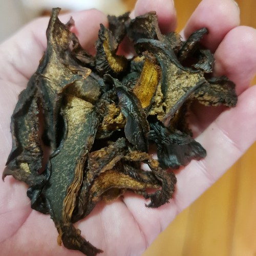 Tasty mishroom jerky!