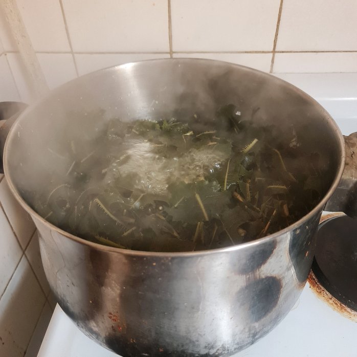 A slightly steamy shot of decocting. 