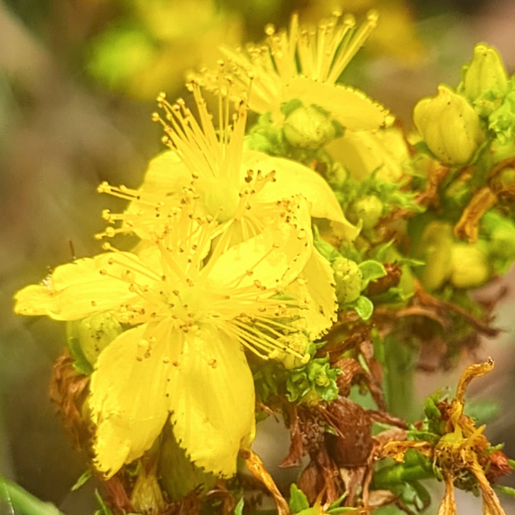 Why the change in&nbsp;direction?