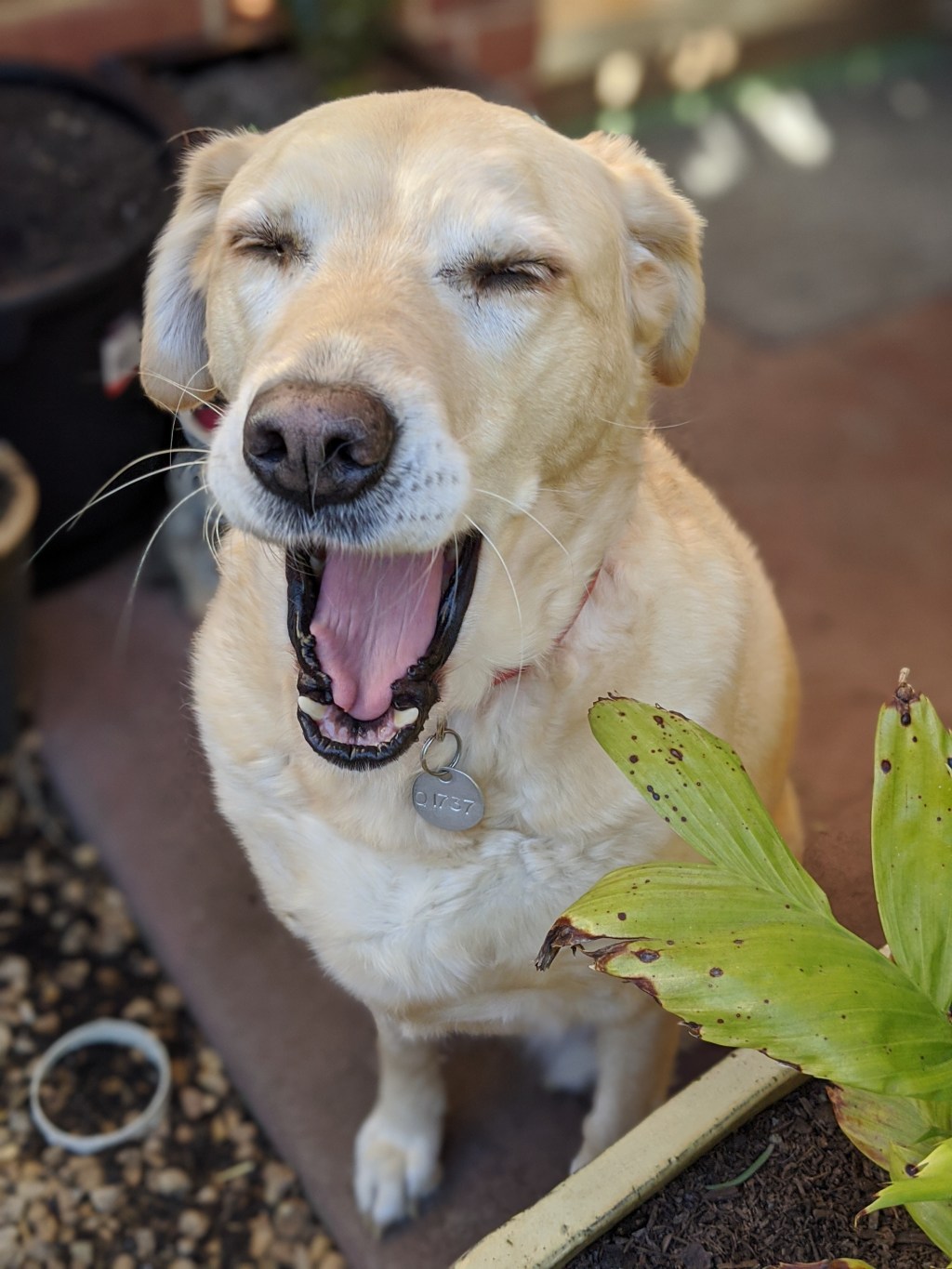 A huge thank&nbsp;you!